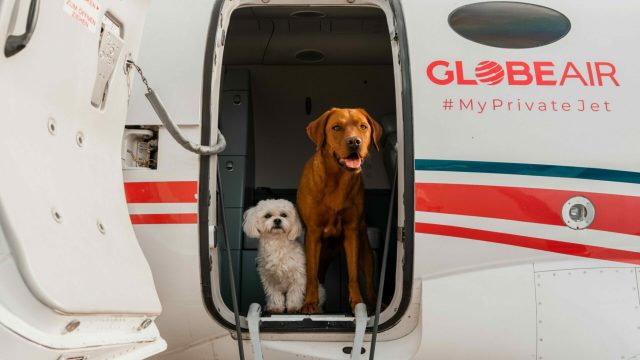 Can I Bring Pets Onboard A Private Jet In Geneva Switzerland
